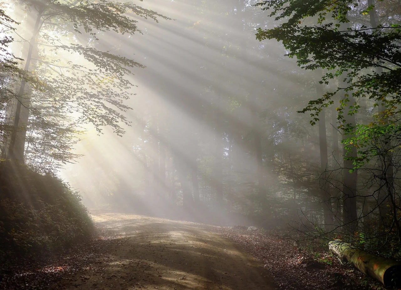 Reiseführer Nördlicher Schwarzwald